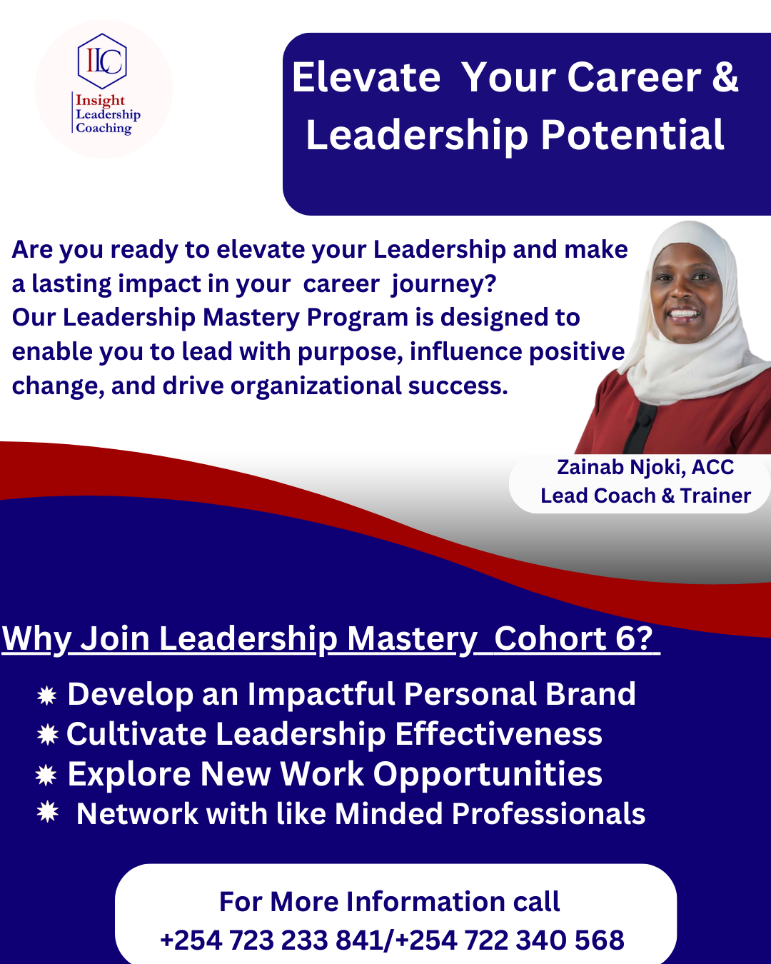 insight leadership mastery